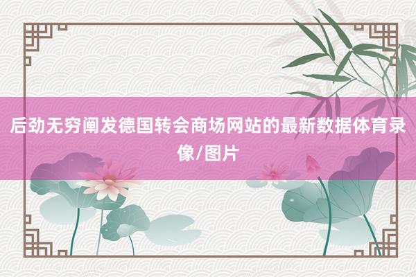 后劲无穷阐发德国转会商场网站的最新数据体育录像/图片