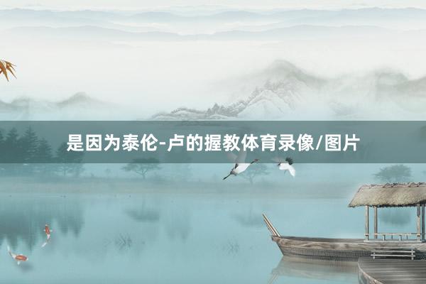 是因为泰伦-卢的握教体育录像/图片