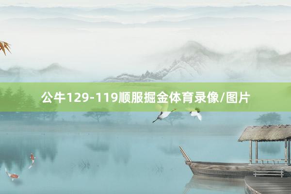 公牛129-119顺服掘金体育录像/图片