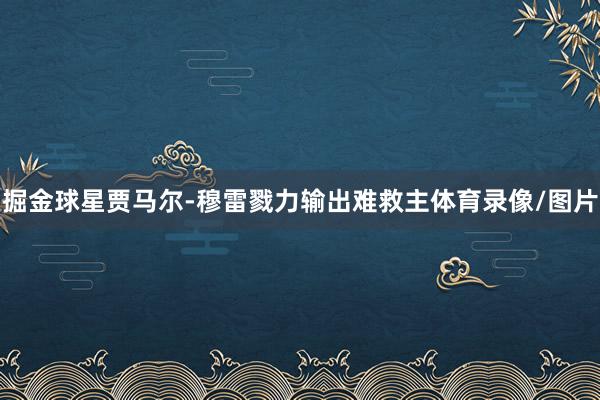 掘金球星贾马尔-穆雷戮力输出难救主体育录像/图片