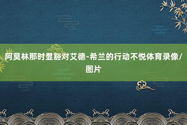 阿莫林那时显豁对艾德-希兰的行动不悦体育录像/图片