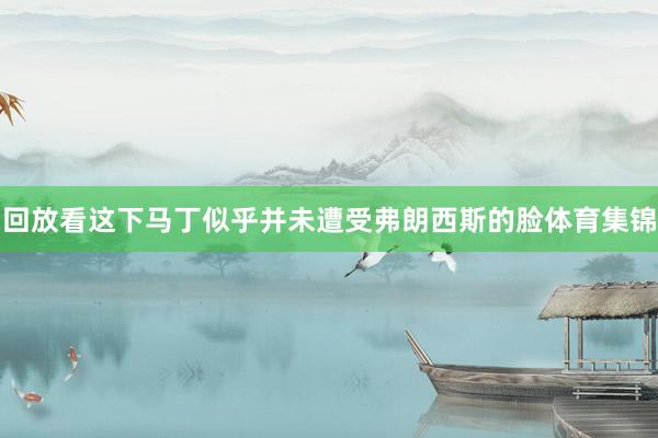 回放看这下马丁似乎并未遭受弗朗西斯的脸体育集锦