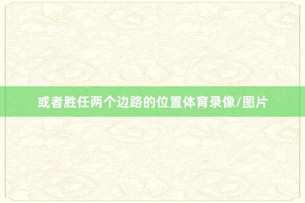 或者胜任两个边路的位置体育录像/图片