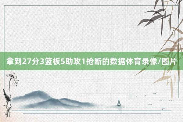 拿到27分3篮板5助攻1抢断的数据体育录像/图片