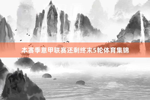 本赛季意甲联赛还剩终末5轮体育集锦