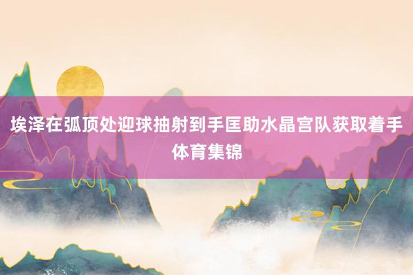 埃泽在弧顶处迎球抽射到手匡助水晶宫队获取着手体育集锦