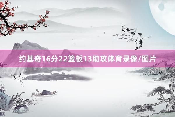 约基奇16分22篮板13助攻体育录像/图片