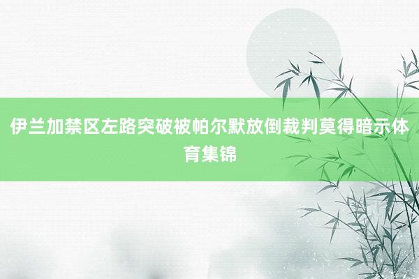伊兰加禁区左路突破被帕尔默放倒裁判莫得暗示体育集锦