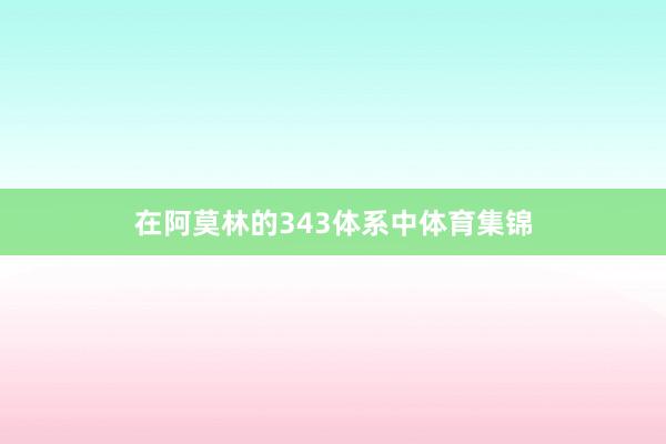 在阿莫林的343体系中体育集锦