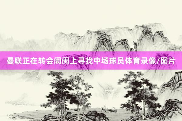 曼联正在转会阛阓上寻找中场球员体育录像/图片