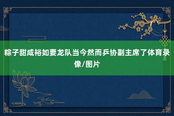 粽子甜咸裕如要龙队当今然而乒协副主席了体育录像/图片