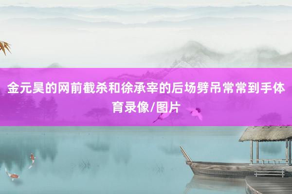 金元昊的网前截杀和徐承宰的后场劈吊常常到手体育录像/图片
