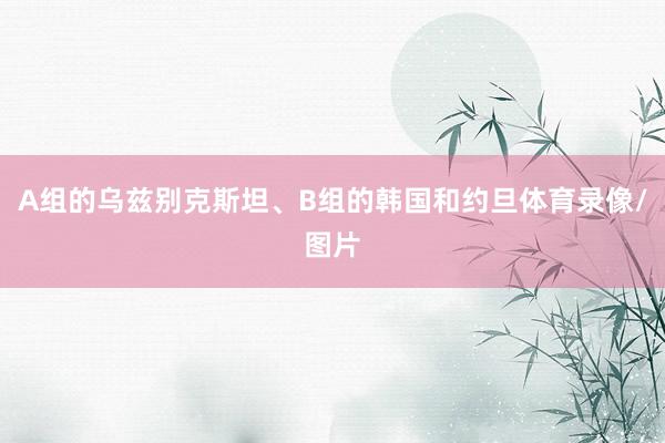 A组的乌兹别克斯坦、B组的韩国和约旦体育录像/图片