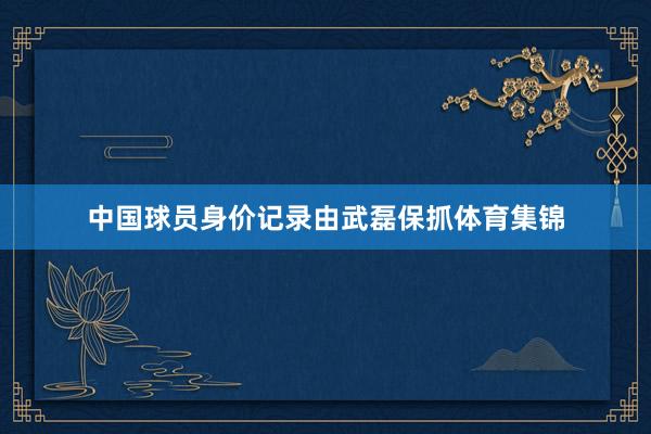 中国球员身价记录由武磊保抓体育集锦