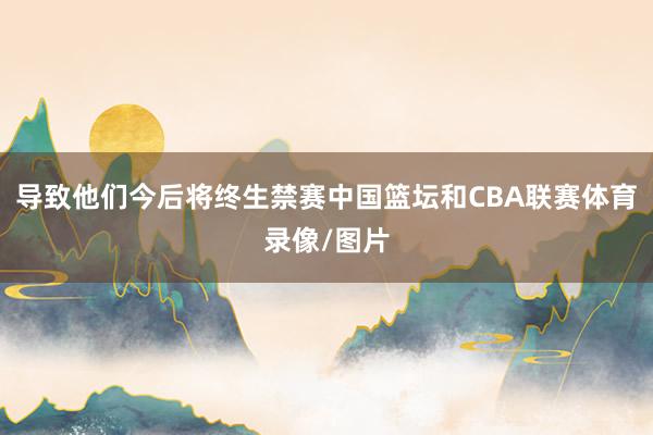 导致他们今后将终生禁赛中国篮坛和CBA联赛体育录像/图片