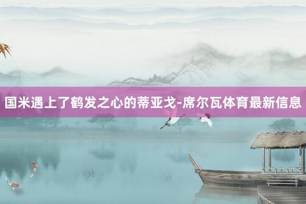国米遇上了鹤发之心的蒂亚戈-席尔瓦体育最新信息