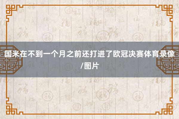 国米在不到一个月之前还打进了欧冠决赛体育录像/图片