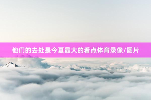 他们的去处是今夏最大的看点体育录像/图片