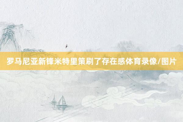 罗马尼亚新锋米特里策刷了存在感体育录像/图片