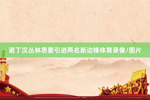 诺丁汉丛林思要引进两名新边锋体育录像/图片