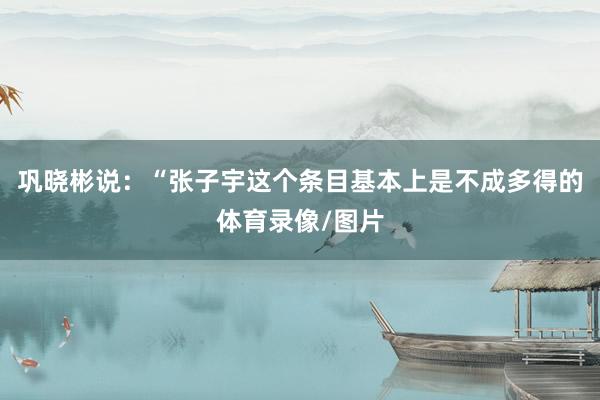 巩晓彬说：“张子宇这个条目基本上是不成多得的体育录像/图片