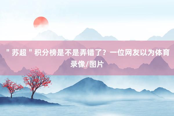 ＂苏超＂积分榜是不是弄错了？一位网友以为体育录像/图片