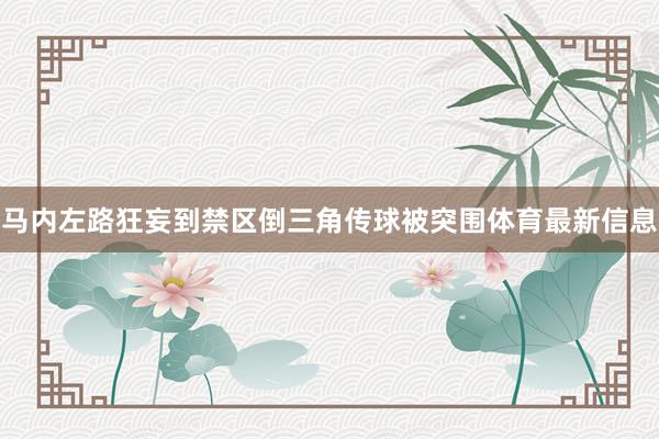 马内左路狂妄到禁区倒三角传球被突围体育最新信息