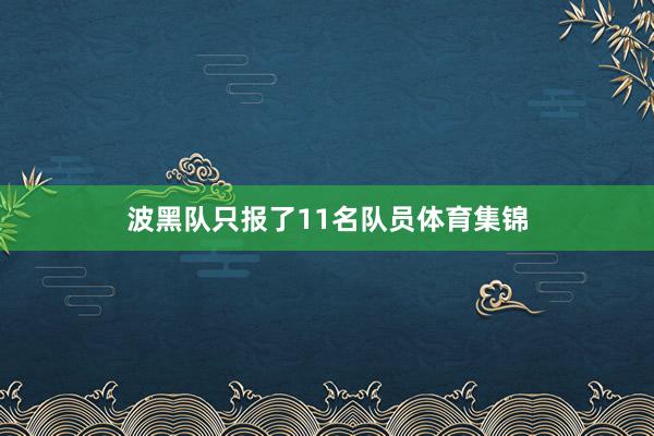波黑队只报了11名队员体育集锦