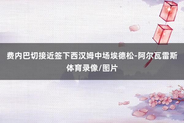费内巴切接近签下西汉姆中场埃德松-阿尔瓦雷斯体育录像/图片