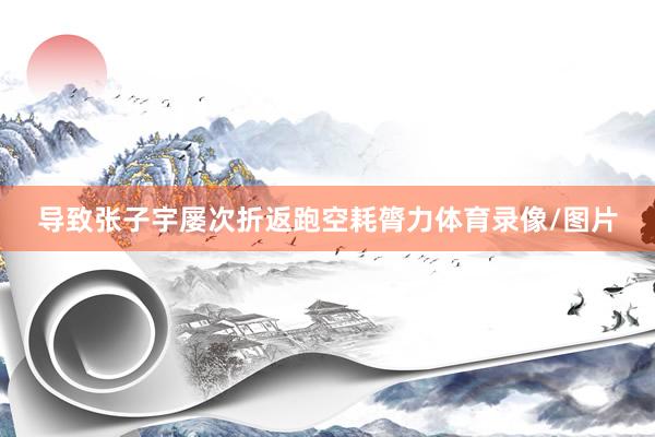 导致张子宇屡次折返跑空耗膂力体育录像/图片