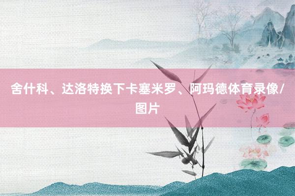 舍什科、达洛特换下卡塞米罗、阿玛德体育录像/图片