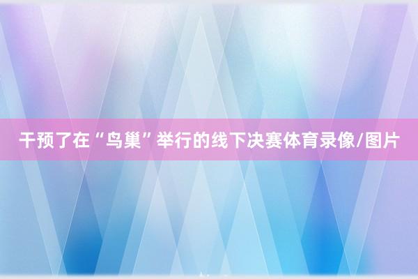 干预了在“鸟巢”举行的线下决赛体育录像/图片