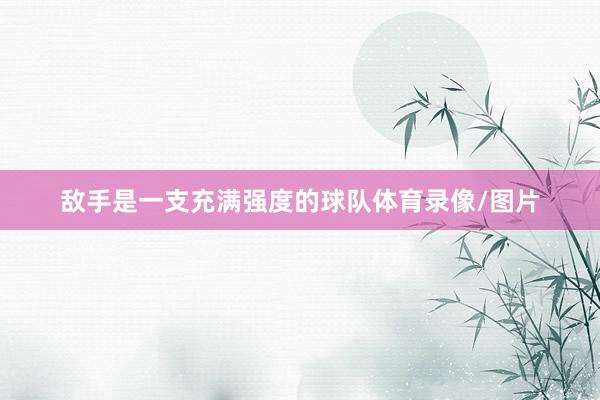 敌手是一支充满强度的球队体育录像/图片