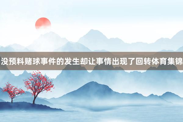 没预料赌球事件的发生却让事情出现了回转体育集锦