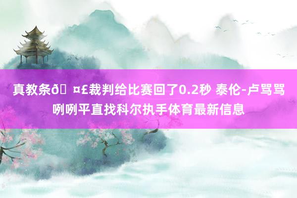 真教条🤣裁判给比赛回了0.2秒 泰伦-卢骂骂咧咧平直找科尔执手体育最新信息