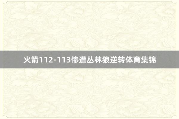 火箭112-113惨遭丛林狼逆转体育集锦