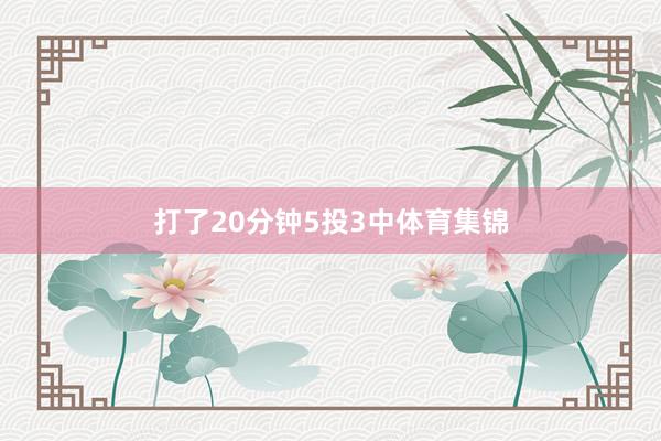 打了20分钟5投3中体育集锦