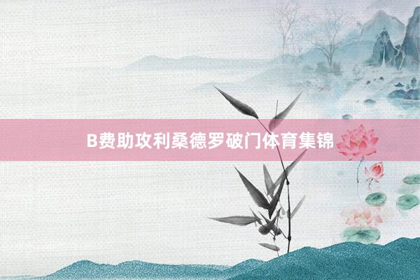 B费助攻利桑德罗破门体育集锦