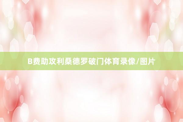 B费助攻利桑德罗破门体育录像/图片