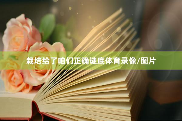 栽培给了咱们正确谜底体育录像/图片