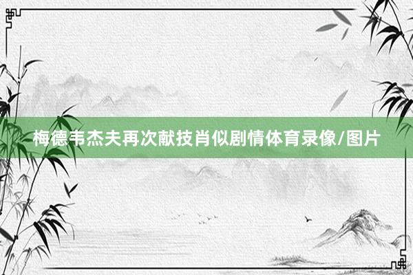 梅德韦杰夫再次献技肖似剧情体育录像/图片