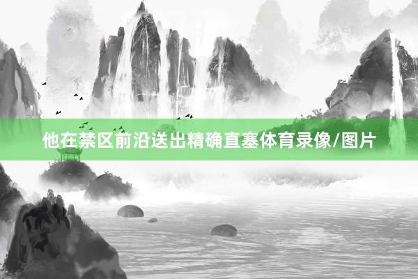 他在禁区前沿送出精确直塞体育录像/图片