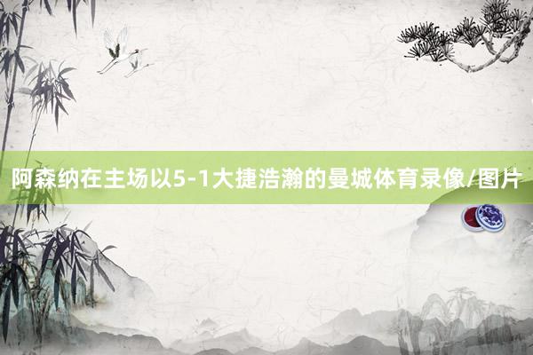 阿森纳在主场以5-1大捷浩瀚的曼城体育录像/图片