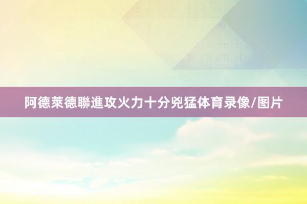 阿德萊德聯進攻火力十分兇猛体育录像/图片
