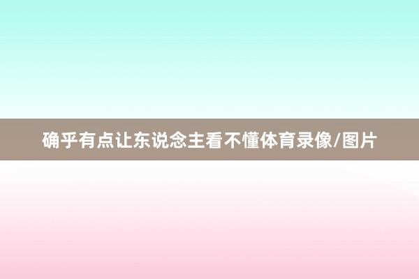确乎有点让东说念主看不懂体育录像/图片