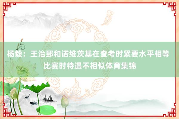 杨毅：王治郅和诺维茨基在查考时紧要水平相等 比赛时待遇不相似体育集锦