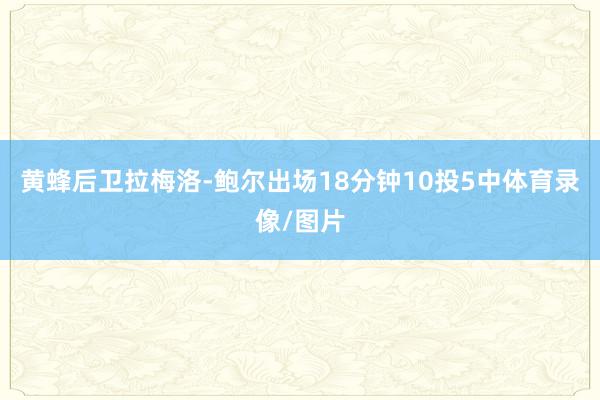 黄蜂后卫拉梅洛-鲍尔出场18分钟10投5中体育录像/图片