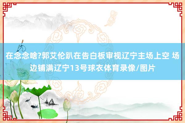 在念念啥?郭艾伦趴在告白板审视辽宁主场上空 场边铺满辽宁13号球衣体育录像/图片