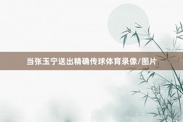当张玉宁送出精确传球体育录像/图片