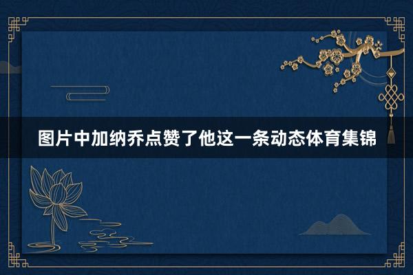 图片中加纳乔点赞了他这一条动态体育集锦